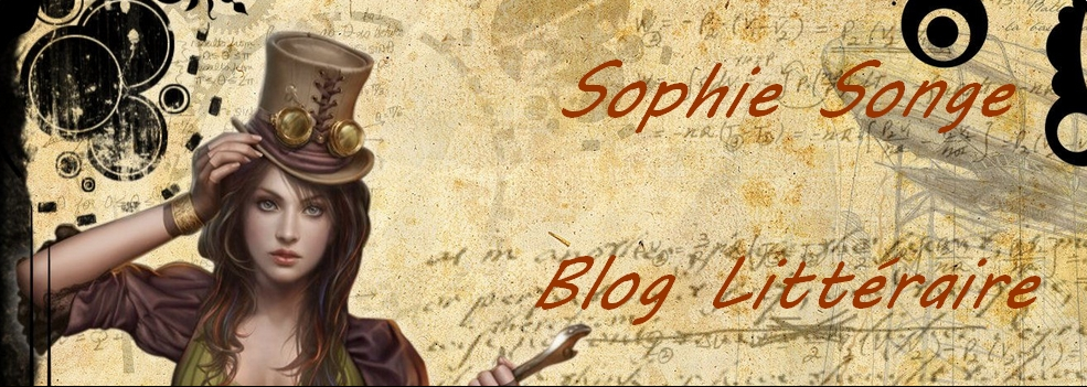 Sophie Songe, Blog littéraire